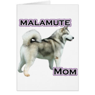 Alaskan Malamute Mum 4