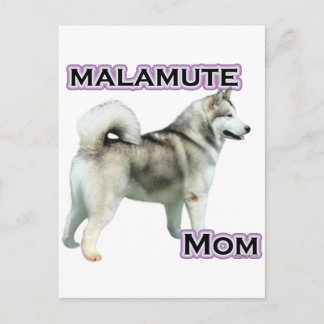Alaskan Malamute Mum 4 Postcard