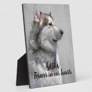 Alaskan Malamute Pet Loss Plaque