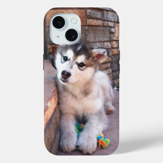 Alaskan Malamute Puppy Head Tilt Photograph Case-Mate iPhone Case (Back)