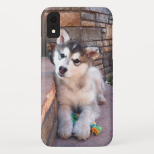 Alaskan Malamute Puppy Head Tilt Photograph Case-Mate iPhone Case