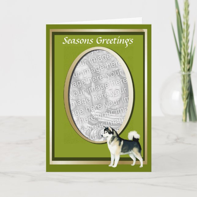 Alaskan Malamute Seasons Greeting Card (Front)