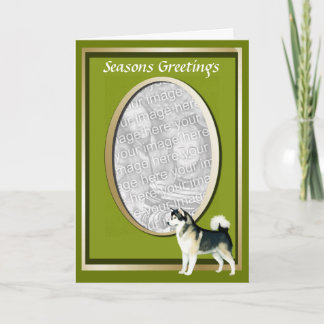 Alaskan Malamute Seasons Greeting Card