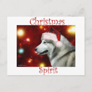 Alaskan Malamute Spirit Holiday Postcard