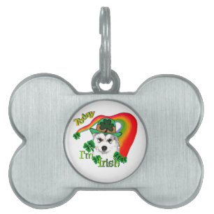 Alaskan Malamute St. Patrick's Day Pet Tag