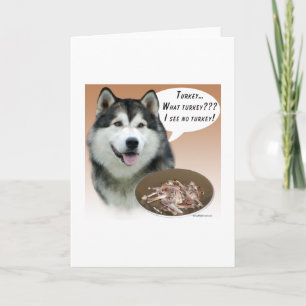 Alaskan Malamute Turkey Holiday Card