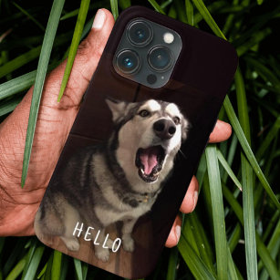 Alaskan Malamute With Open Mouth Photograph iPhone 13 Pro Case