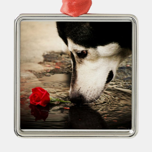 Alaskan Malamute with Red Rose Metal Tree Decoration (Front)