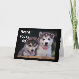 "ALASKAN MALAMUTES 40th BIRTHDAY WISHES" Card