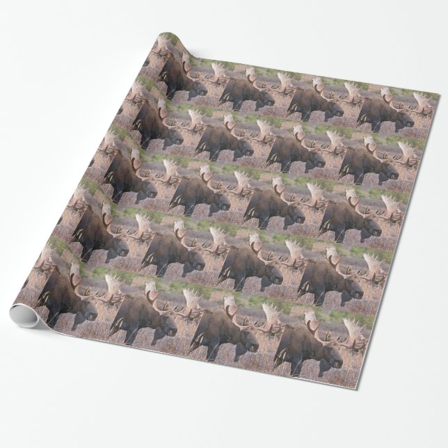 Alaskan Moose Wrapping Paper (Unrolled)