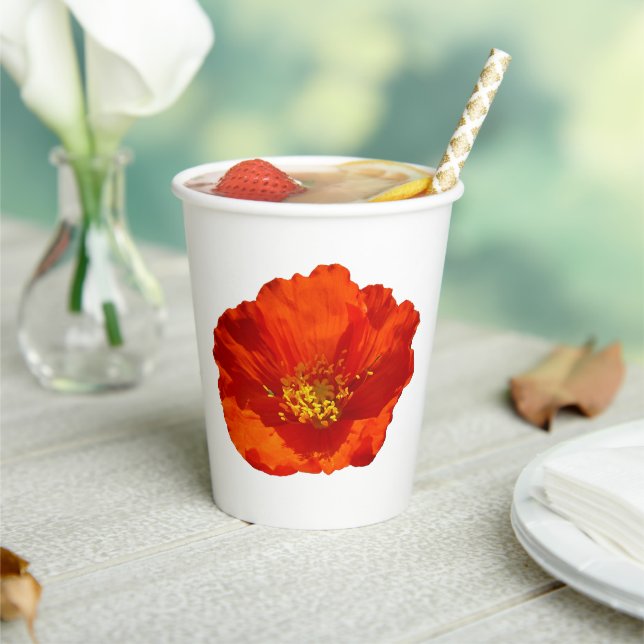 Alaskan Red Poppy Colorful Flower Paper Cups (Insitu)