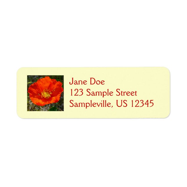 Alaskan Red Poppy Colourful Flower (Front)