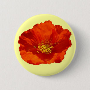 Alaskan Red Poppy Colourful Flower 6 Cm Round Badge