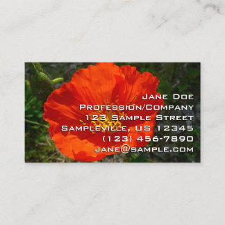 Alaskan Red Poppy Colourful Flower Business Card