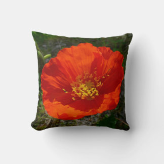 Alaskan Red Poppy Colourful Flower Cushion
