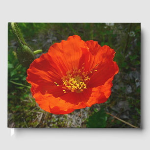 Alaskan Red Poppy Colourful Flower Guest Book