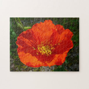 Alaskan Red Poppy Colourful Flower Jigsaw Puzzle