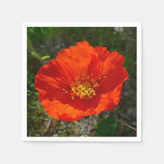Alaskan Red Poppy Colourful Flower Napkin
