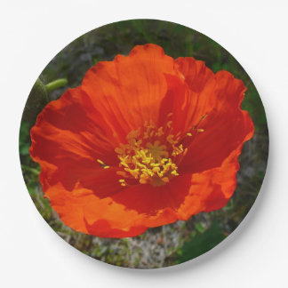 Alaskan Red Poppy Colourful Flower Paper Plate