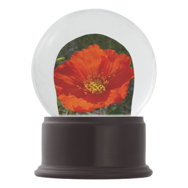 Alaskan Red Poppy Colourful Flower Snow Globe (Front)
