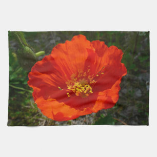 Alaskan Red Poppy Colourful Flower Tea Towel