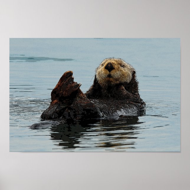 Alaskan Sea Otter Poster (Front)
