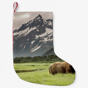 Alaskan shores, grizzly bear small christmas stocking