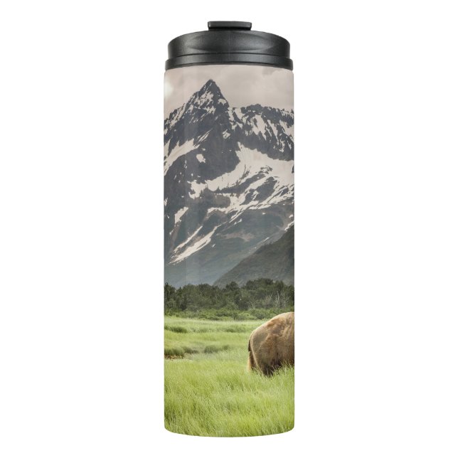 Alaskan shores, grizzly bear thermal tumbler (Front)