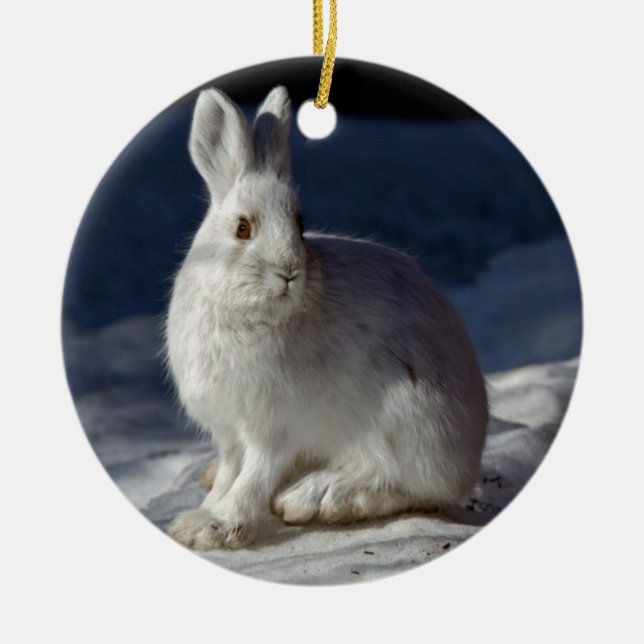 Alaskan Snowshoe Hare Ceramic Tree Decoration (Front)