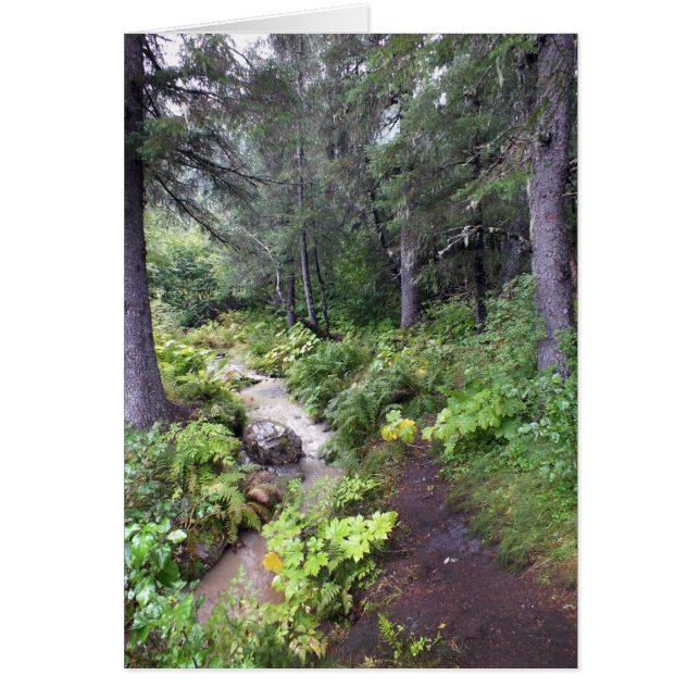 Alaskan Stream (Front)