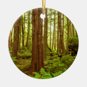 Alaskan Temperate Rainforest Ceramic Tree Decoration