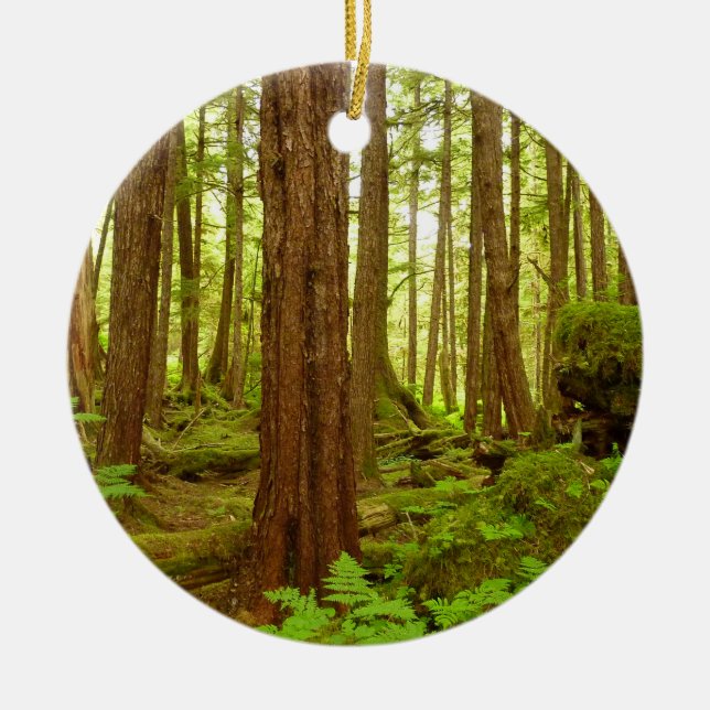 Alaskan Temperate Rainforest Ceramic Tree Decoration (Front)