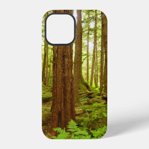 Alaskan Temperate Rainforest iPhone 12 Case