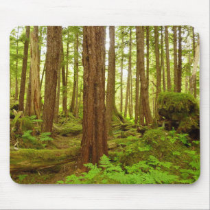 Alaskan Temperate Rainforest Mouse Pad