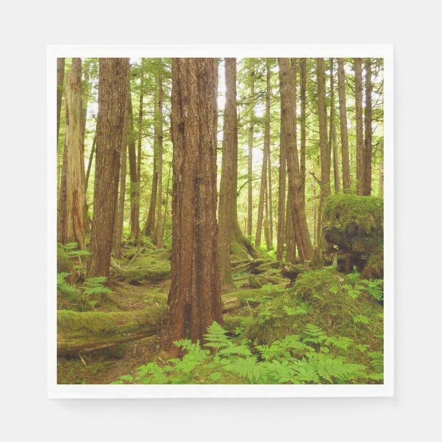 Alaskan Temperate Rainforest Napkin (Front)