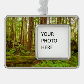 Alaskan Temperate Rainforest Silver Plated Framed Ornament