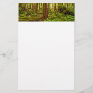 Alaskan Temperate Rainforest Stationery