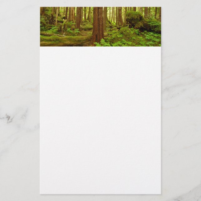 Alaskan Temperate Rainforest Stationery (Front)