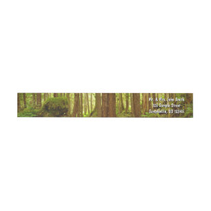 Alaskan Temperate Rainforest Wrap Around Label