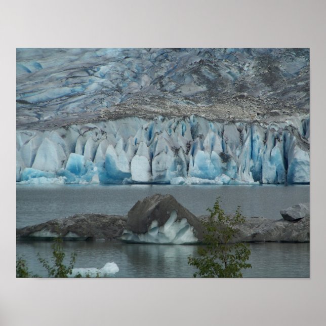 Alaskan Wilderness Poster Print (Front)