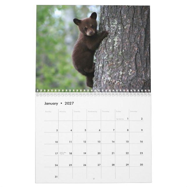 Alaskan Wildlife Calendar (Jan 2027)