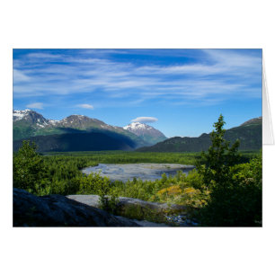Alaska's Exit Glacier Valley