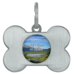 Alaska's Exit Glacier Valley Pet Name Tag