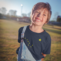 Alaska's Flag Kids T-Shirt