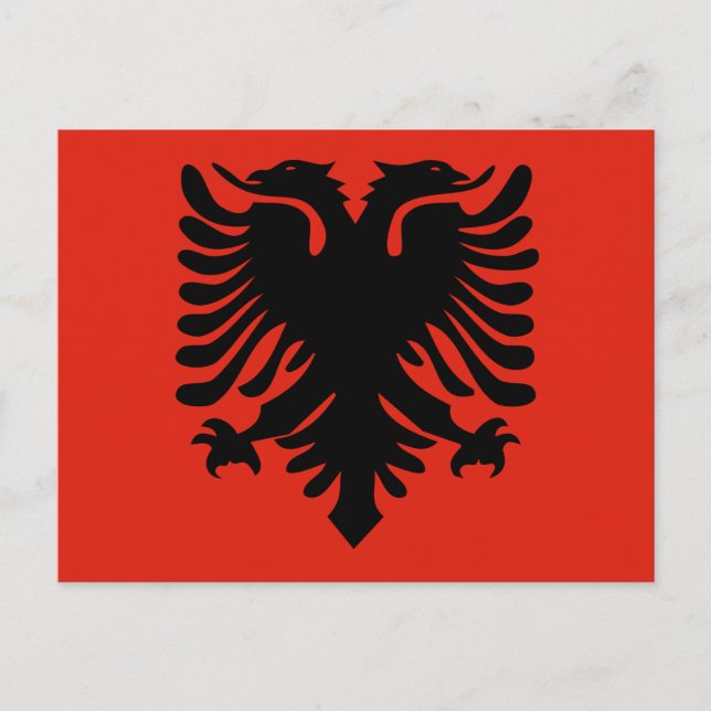 albania flag postcard (Front)