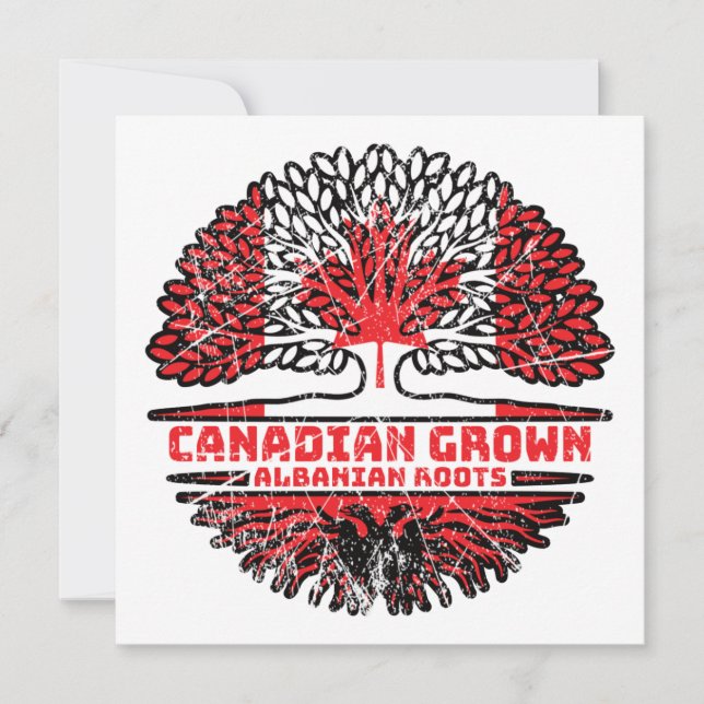 Albanian Albania Canadian Canada Tree Roots Flag Card (Front)