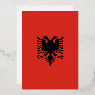 Albanian flag