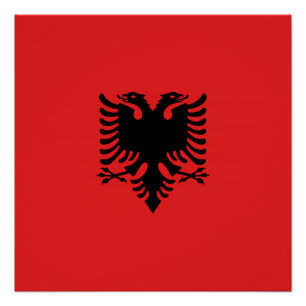 Albanian flag with two-headed eagle poster