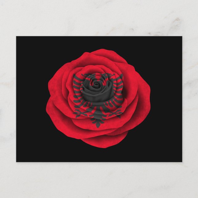 Albanian Rose Flag on Black Postcard (Front)