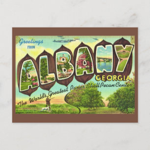 Albany Georgia Vintage Postcard